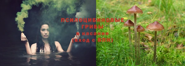 прущий лед Алексеевка