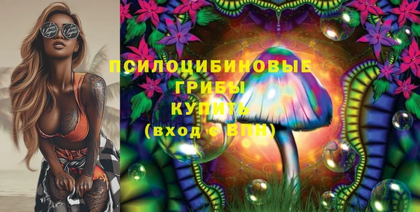 прущий лед Алексеевка