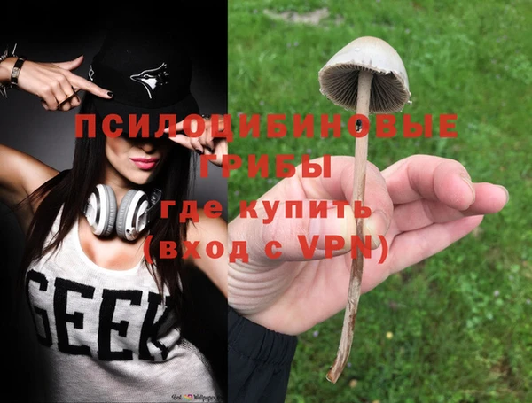 твердый Алзамай