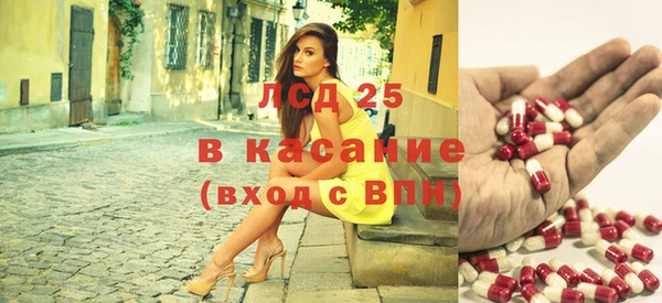 твердый Алзамай