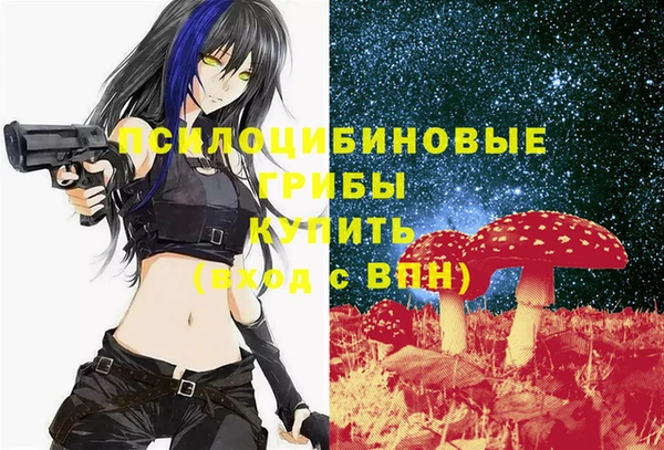 прущий лед Алексеевка