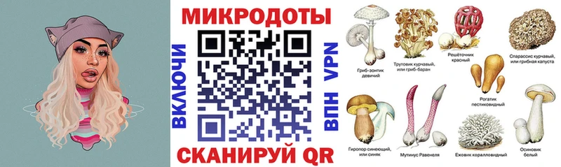 хочу   Находка  Псилоцибиновые грибы Psilocybe 